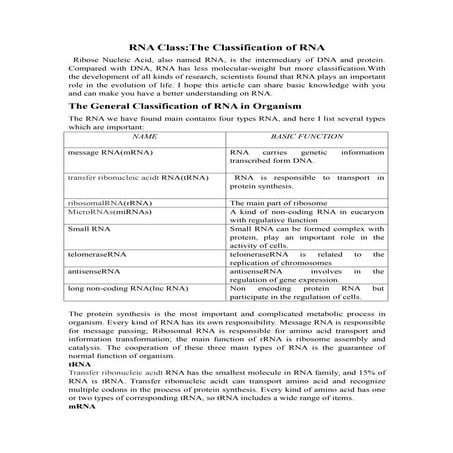 RNA Class:The Classification of RNA
