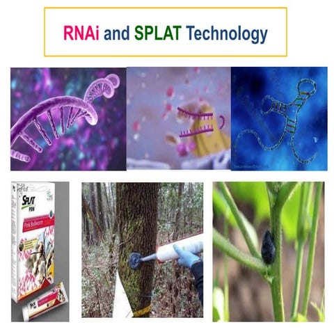 RNA interference in insect pest management (RNAi in ipm) | PPT