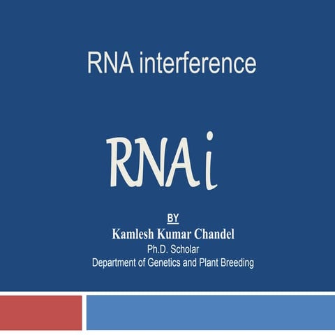 RNA interference (RNAi) 