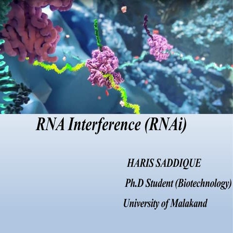 RNA interference (RNAi)