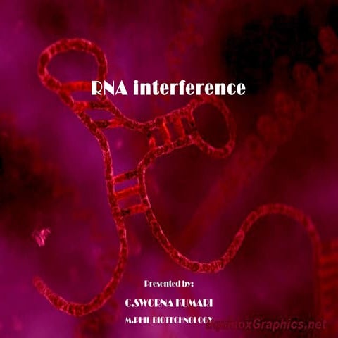 Rna interfernce ppt