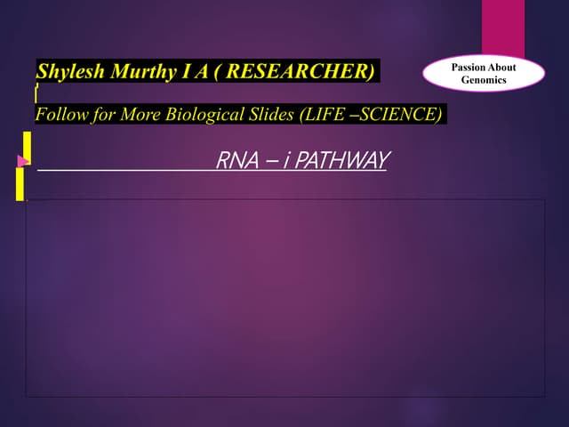 RNA – i PATHWAY 