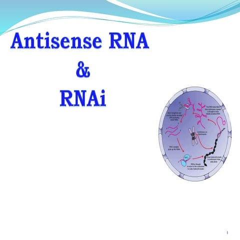 Antisence RNA and RNA Interference Technology