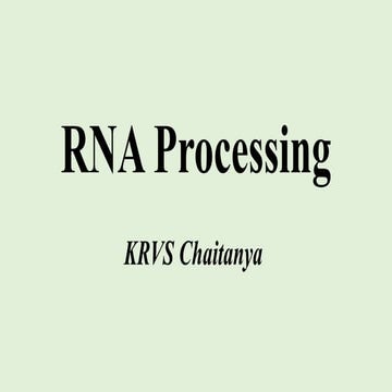 RNA Processing