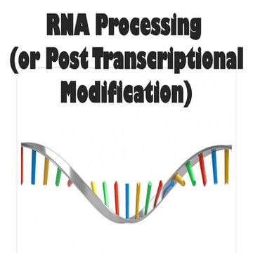 RNA Processing: Post-Transcriptional Modification