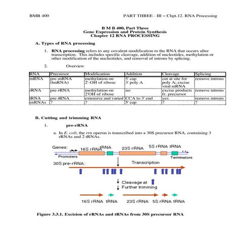 rRNA anr tRNA post transcriptional modifications | PPTX