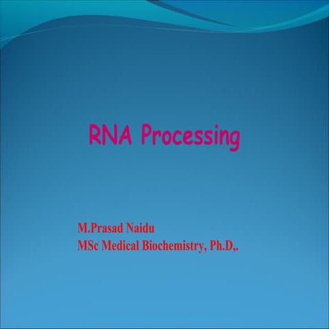 RNA processing final eukaryotes.