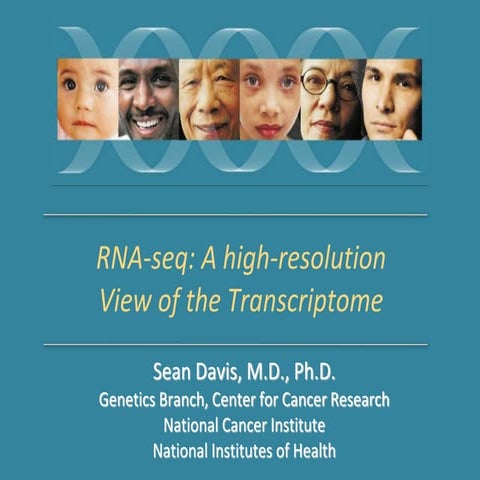 RNA-seq: A High-resolution View of the Transcriptome