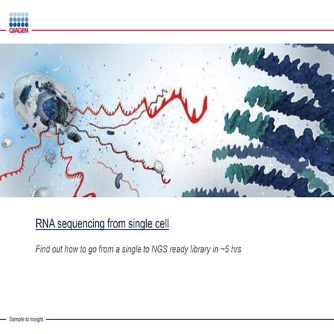 RNA Sequencing from Single Cell