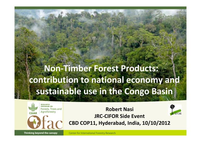 thumbnail of  Non-Timber Forest Products: contribution to national economy and sustainable use in the Congo Basin