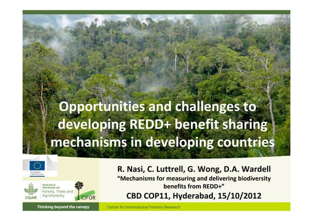 Opportunities and challenges to developing REDD+ benefit sharing mechanisms in developing countries