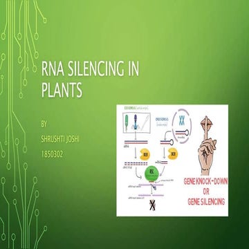 Rna silencing in plants | PPTX