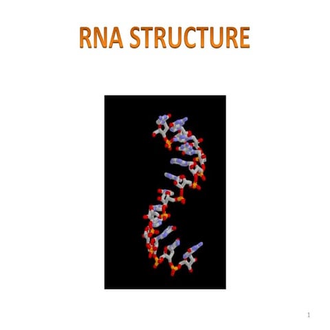 Rna structure