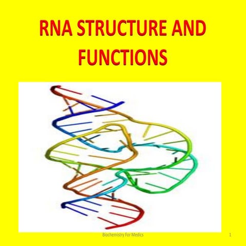 Rna structure