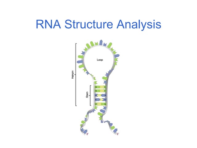 RNA structure analysis 