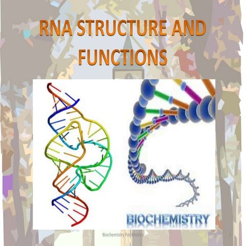 RNA Structures, Types and Functions