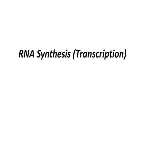 RNA Synthesis (Transcription).pptx