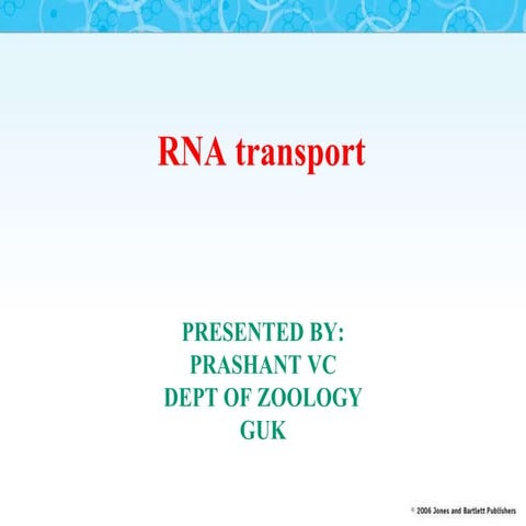 RNA transport.ppt
