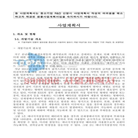 중기청 R&D 사업계획서 sample