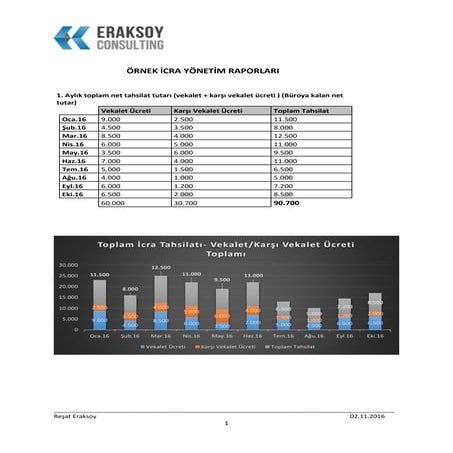 Örnek i̇cra yönetim raporları