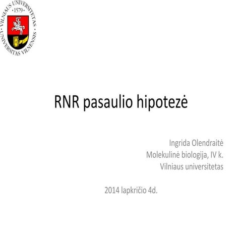 RNR pasaulio hipotezė