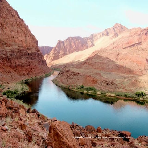 Magnolia CMS Roadmap - Beyond 5.0