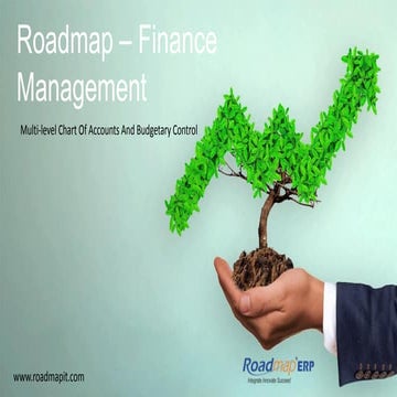 Roadmap ERP- Financial | Accounting Management
