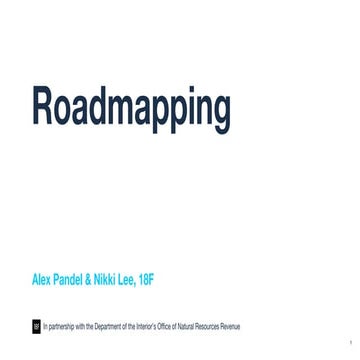 Roadmapping