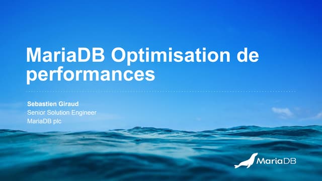 MariaDB Paris Workshop 2023 - Performance Optimization