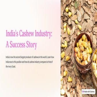 Irresistible Delight: Roasted Cashew Nuts - Buy Now!