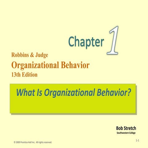 Robbins organizationbehaviour -chapter1 12130920-093