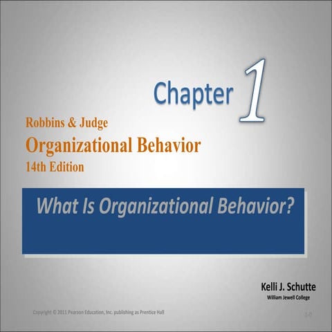 robbins_ob14_ppt_01.ppt principles of management 