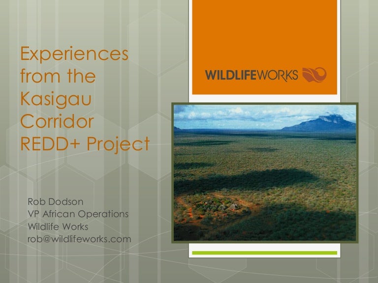 thumbnail of  Experiences from the Kasigau Corridor REDD+ Project