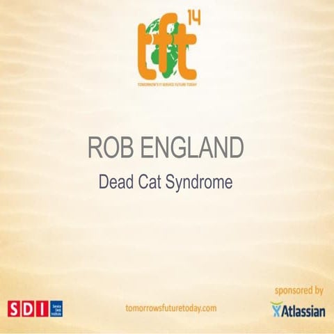 Rob England, Dead Cat Syndrome by The IT Skeptic