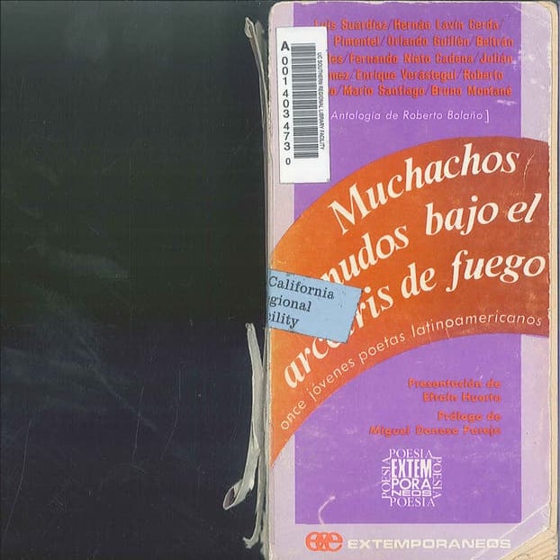 Muchachos desnudos bajo el arcoiris de fuego