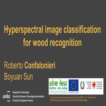 SFScon21 - Roberto Confalonieri - Boyuan Sun - Hyper-spectral image classific...