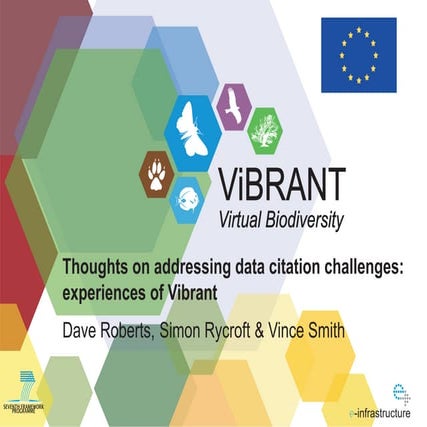 Thoughts on addressing data citation challenges: experiences of Vibrant project