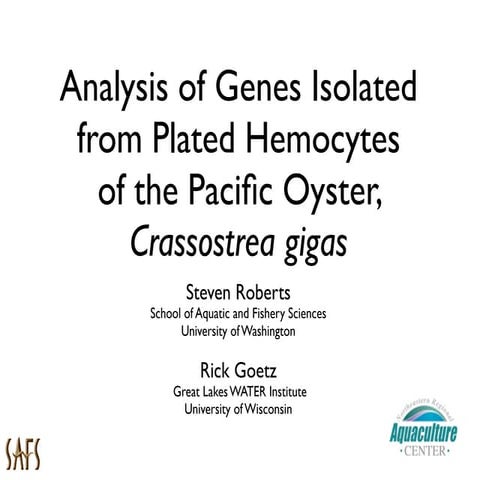 Oyster Hemocytes - NSA 2009