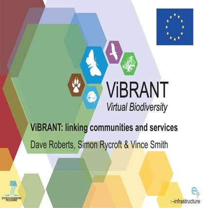 ViBRANT: linking communities and services