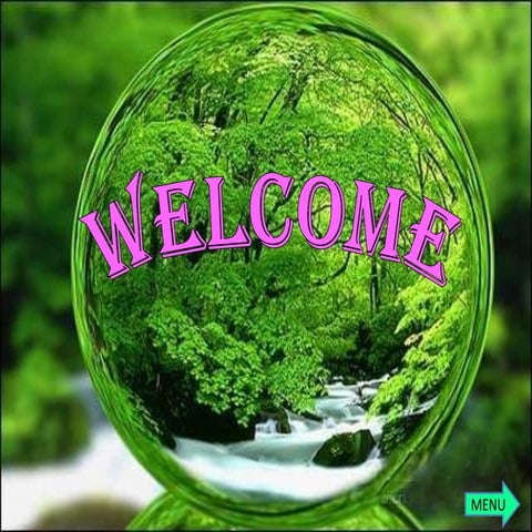 Bangun Ruang Sisi Lengkung