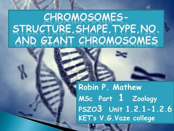 Chromosome Structure & Function | PPT
