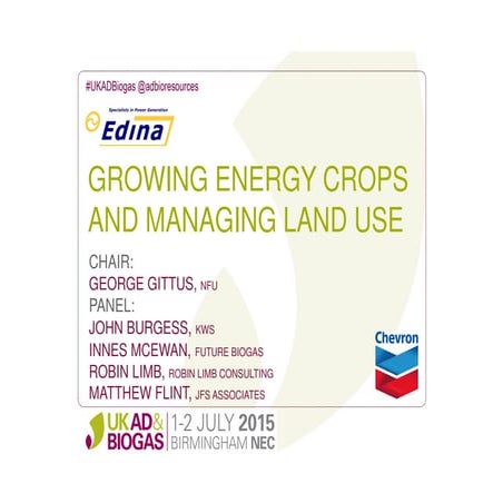 Robin Limb, Robin Limb Consulting