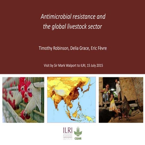 Antimicrobial resistance and the global livestock sector