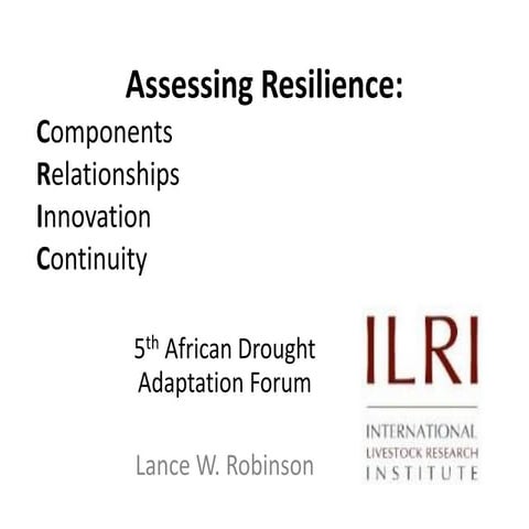 Assessing resilience: Components, relationships, innovation and continuity.