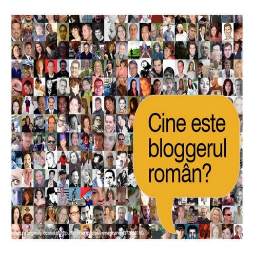 RoBloggers Survey 2007 - Preview