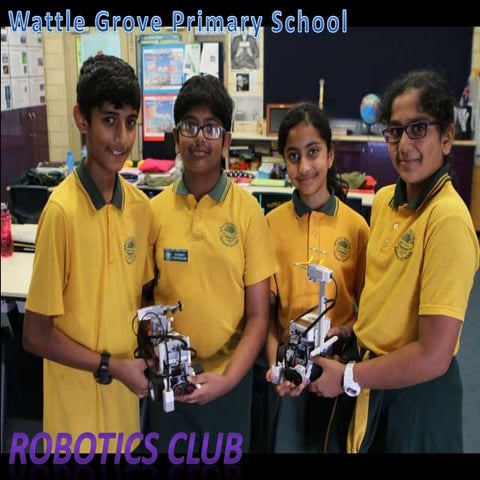 Wattle Grove Primary School - Robotics Club | PPTX