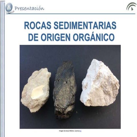 Rocas organicas