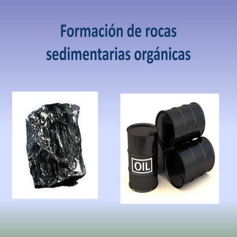 Rocas orgánicas