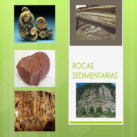Rocas sedimentarias
