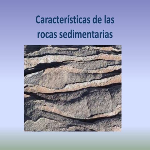 Rocas sedimentarias